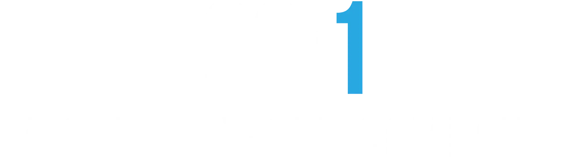 99+1 A CENTURY-OLD COMPANY
