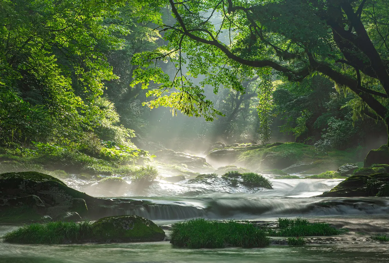 環境への取り組み